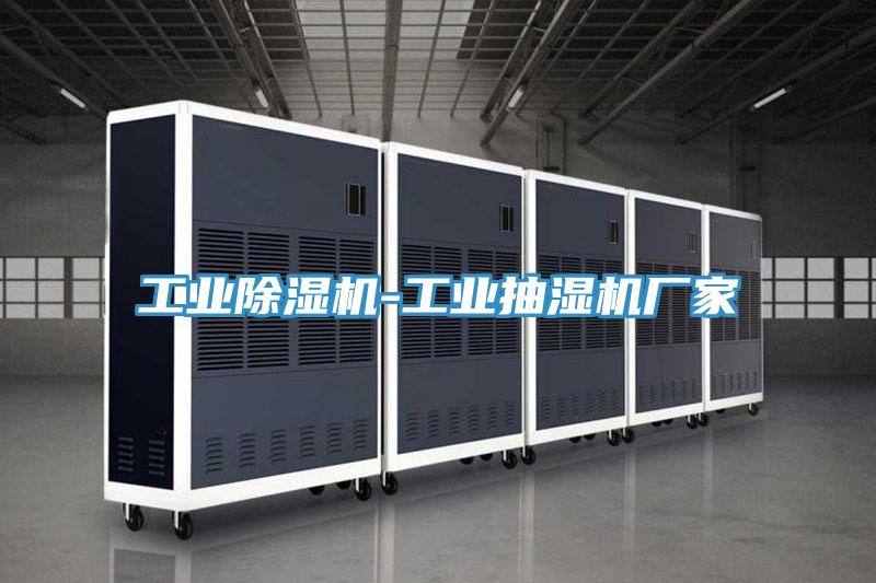 工业抖音成人版下载-工业抽湿机厂家