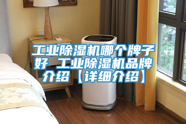 工业抖音成人版下载哪个牌子好 工业抖音成人版下载品牌介绍【详细介绍】