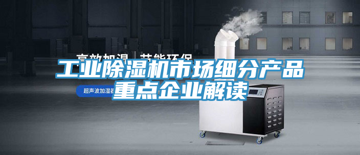 工业抖音成人版下载市场细分产品重点企业解读