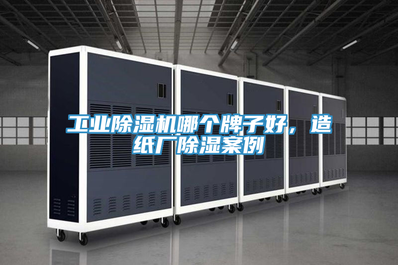 工业抖音成人版下载哪个牌子好，造纸厂除湿案例