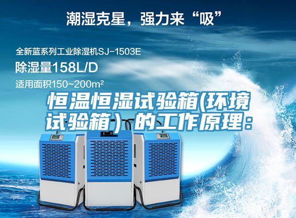 恒温恒湿试验箱(环境试验箱）的工作原理：