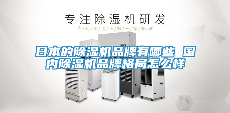 日本的抖音成人版下载品牌有哪些 国内抖音成人版下载品牌格局怎么样