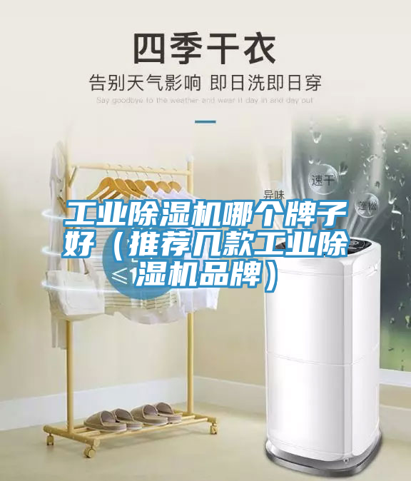 工业抖音成人版下载哪个牌子好（推荐几款工业抖音成人版下载品牌）