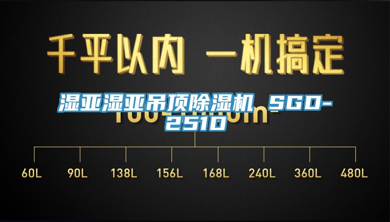 湿亚湿亚吊顶抖音成人版下载 SGD-251D