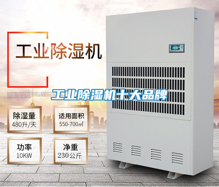 工业抖音成人版下载十大品牌