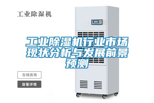 工业抖音成人版下载行业市场现状分析与发展前景预测