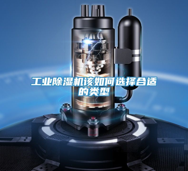 工业抖音成人版下载该如何选择合适的类型