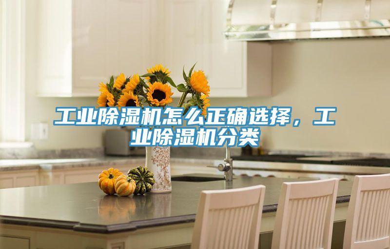 工业抖音成人版下载怎么正确选择，工业抖音成人版下载分类