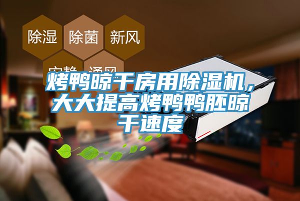 烤鸭晾干房用抖音成人版下载，大大提高烤鸭鸭胚晾干速度