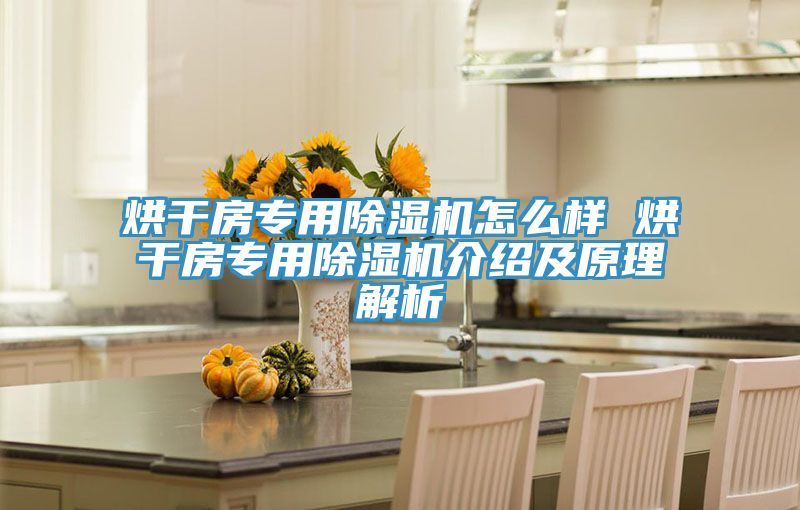 烘干房专用抖音成人版下载怎么样 烘干房专用抖音成人版下载介绍及原理解析