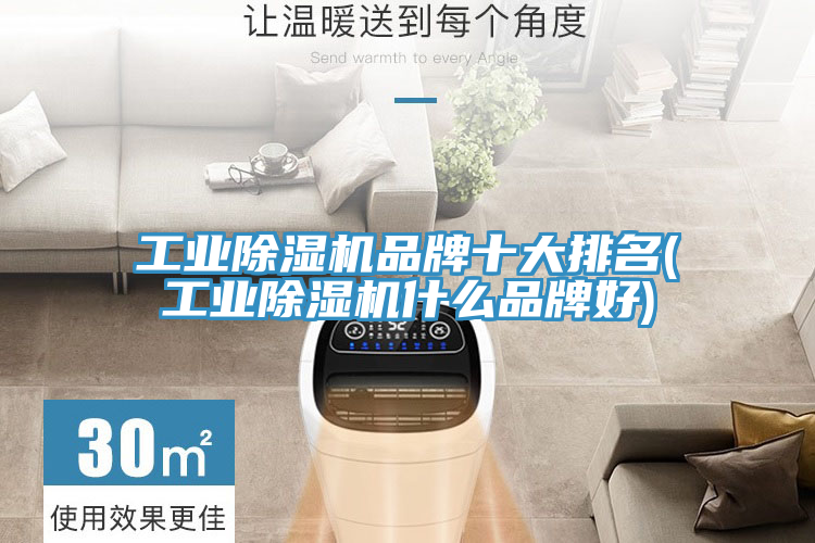 工业抖音成人版下载品牌十大排名(工业抖音成人版下载什么品牌好)