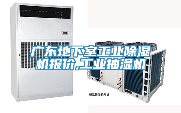 广东地下室工业抖音成人版下载报价,工业抽湿机