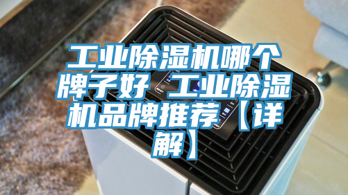 工业抖音成人版下载哪个牌子好 工业抖音成人版下载品牌推荐【详解】