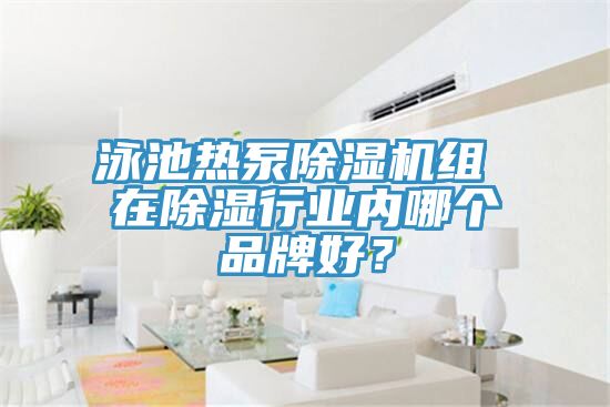 泳池热泵抖音成人版下载组 在除湿行业内哪个品牌好？