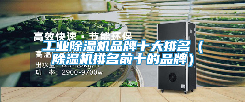 工业抖音成人版下载品牌十大排名（抖音成人版下载排名前十的品牌）