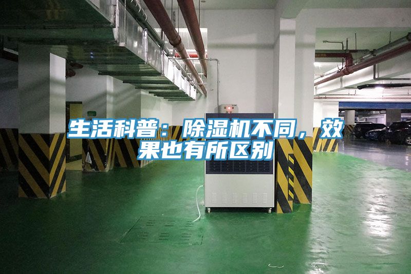 生活科普：抖音成人版下载不同，效果也有所区别