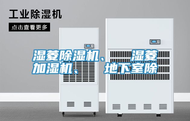 湿菱抖音成人版下载、  湿菱加湿机、  地下室除