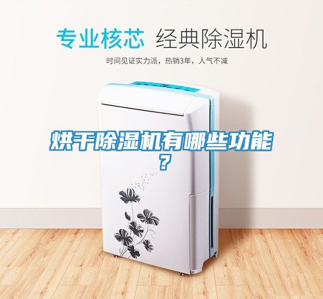 烘干抖音成人版下载有哪些功能？