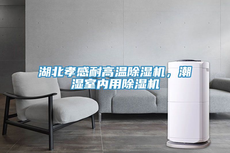 湖北孝感耐高温抖音成人版下载，潮湿室内用抖音成人版下载