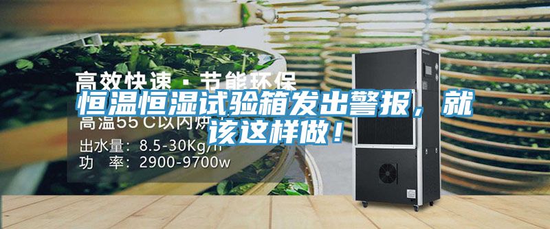 恒温恒湿试验箱发出警报，就该这样做！