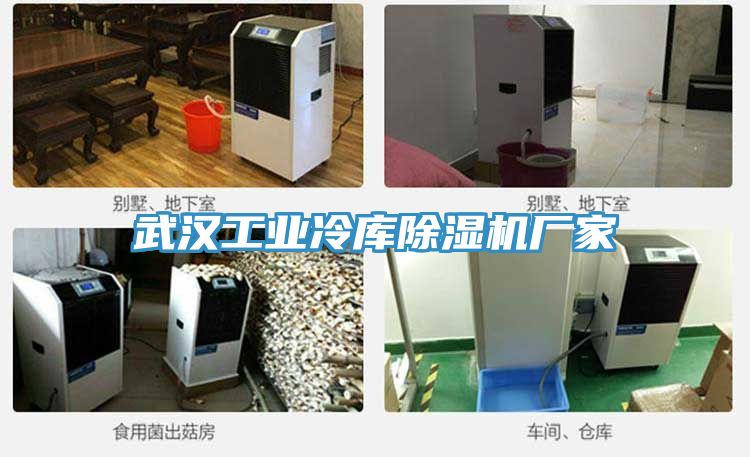 武汉工业冷库抖音成人版下载厂家