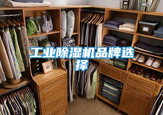 工业抖音成人版下载品牌选择