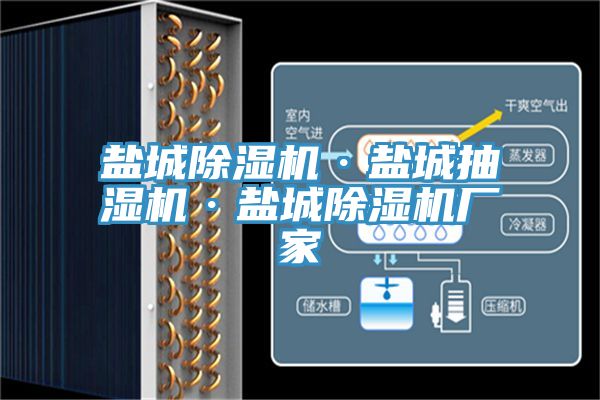 盐城抖音成人版下载·盐城抽湿机·盐城抖音成人版下载厂家