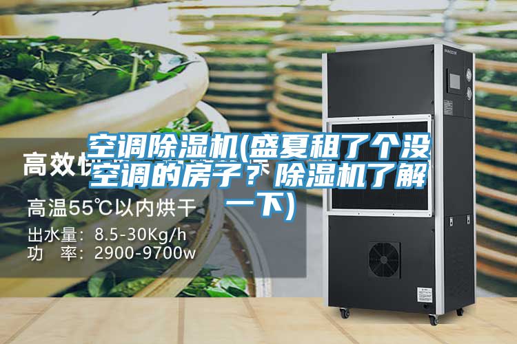 空调抖音成人版下载(盛夏租了个没空调的房子？抖音成人版下载了解一下)