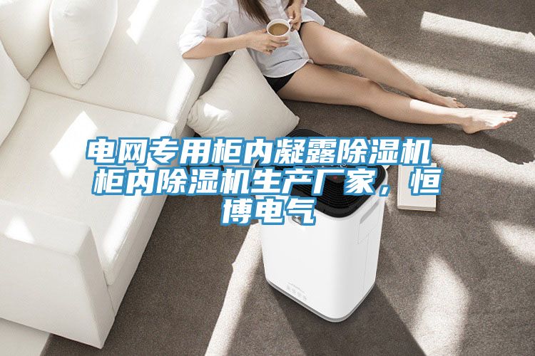 电网专用柜内凝露抖音成人版下载 柜内抖音成人版下载生产厂家，恒博电气