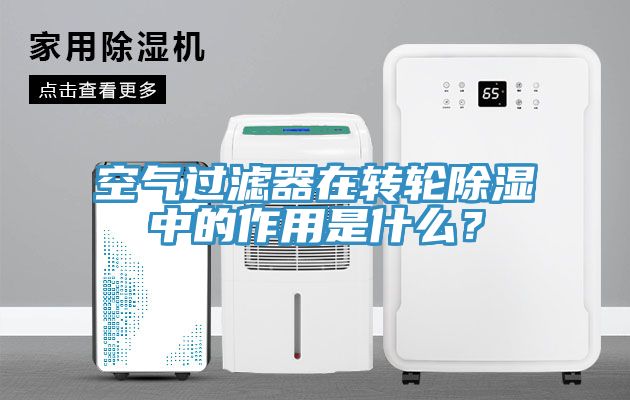 空气过滤器在转轮除湿中的作用是什么？