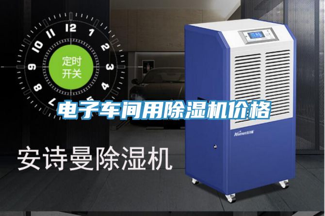 电子车间用抖音成人版下载价格