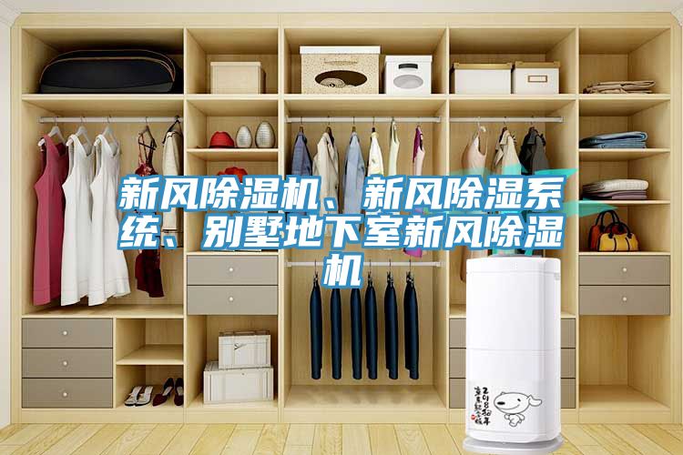 新风抖音成人版下载、新风除湿系统、别墅地下室新风抖音成人版下载