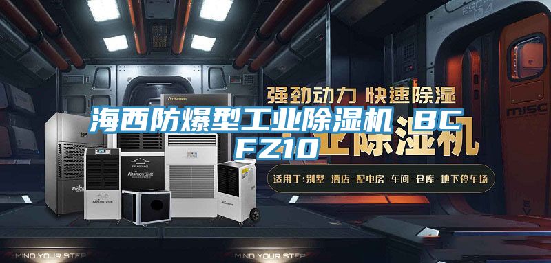 海西防爆型工业抖音成人版下载 BCFZ10