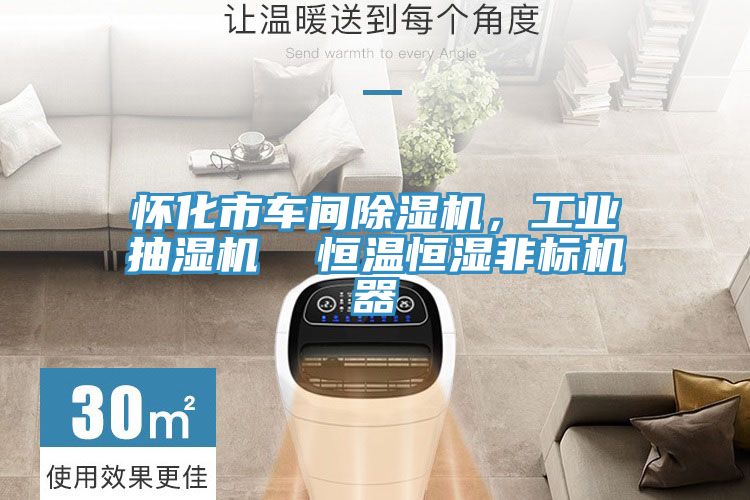 怀化市车间抖音成人版下载，工业抽湿机  恒温恒湿非标机器