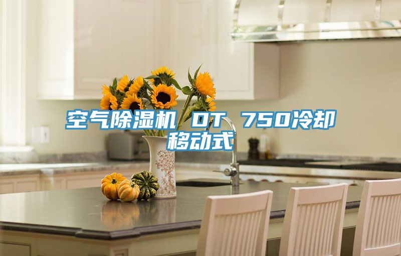 空气抖音成人版下载 DT 750冷却移动式