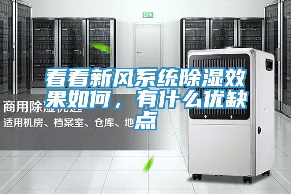 看看新风系统除湿效果如何，有什么优缺点