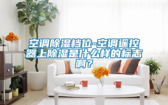 空调除湿档位-空调遥控器上除湿是什么样的标志啊？