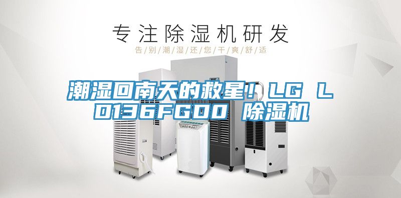 潮湿回南天的救星！LG LD136FGD0 抖音成人版下载