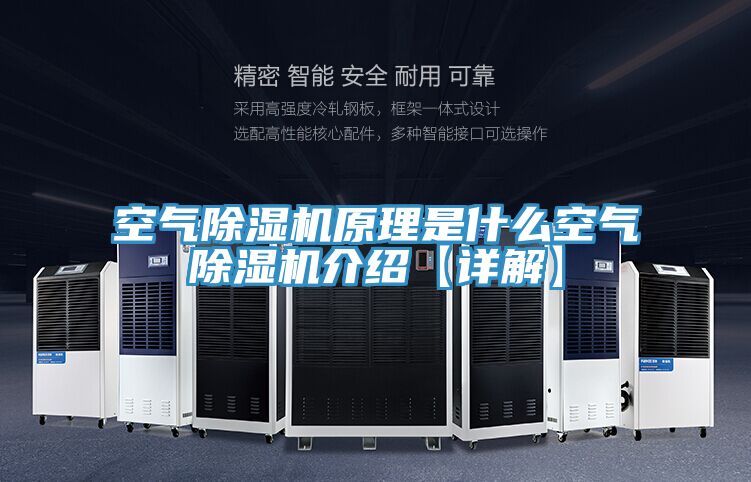 空气抖音成人版下载原理是什么空气抖音成人版下载介绍【详解】