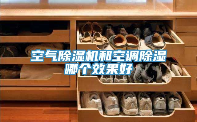 空气抖音成人版下载和空调除湿哪个效果好