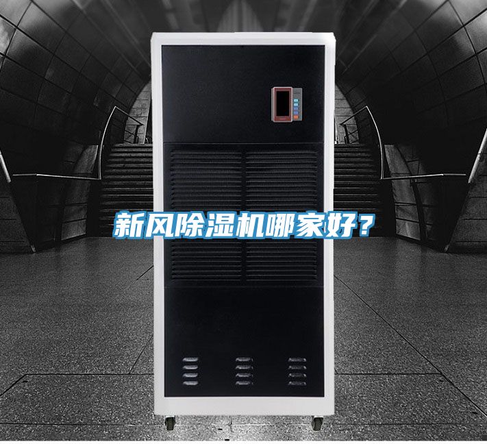 新风抖音成人版下载哪家好？