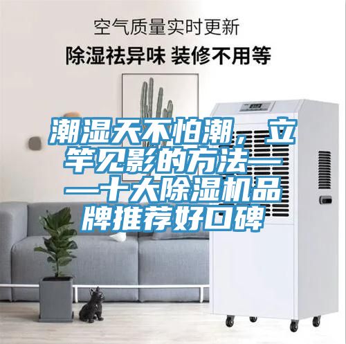 潮湿天不怕潮，立竿见影的方法——十大抖音成人版下载品牌推荐好口碑