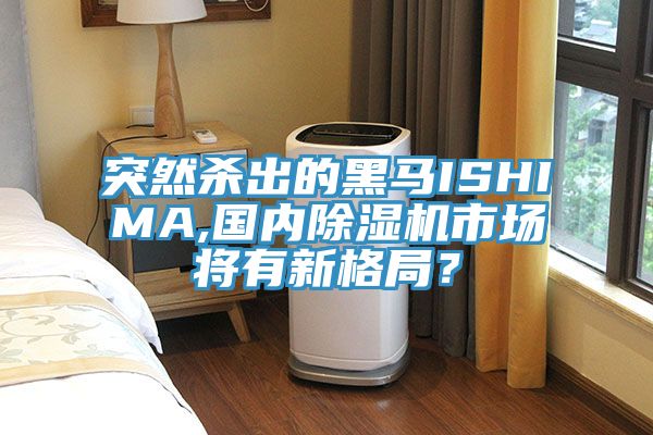 突然杀出的黑马ISHIMA,国内抖音成人版下载市场将有新格局？