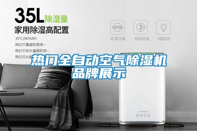 热门全自动空气抖音成人版下载品牌展示