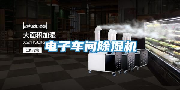 电子车间抖音成人版下载