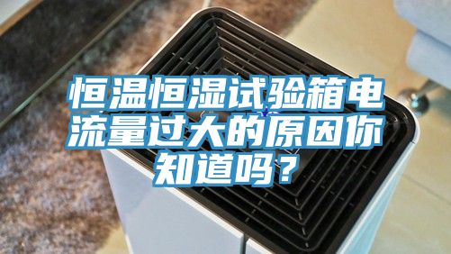 恒温恒湿试验箱电流量过大的原因你知道吗？