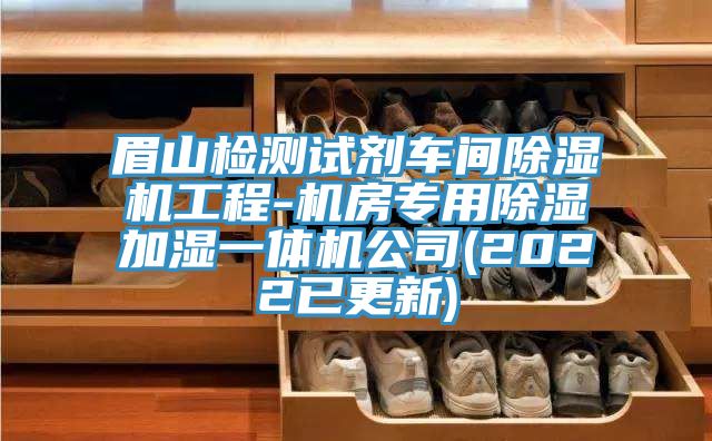 眉山检测试剂车间抖音成人版下载工程-机房专用除湿加湿一体机公司(2022已更新)