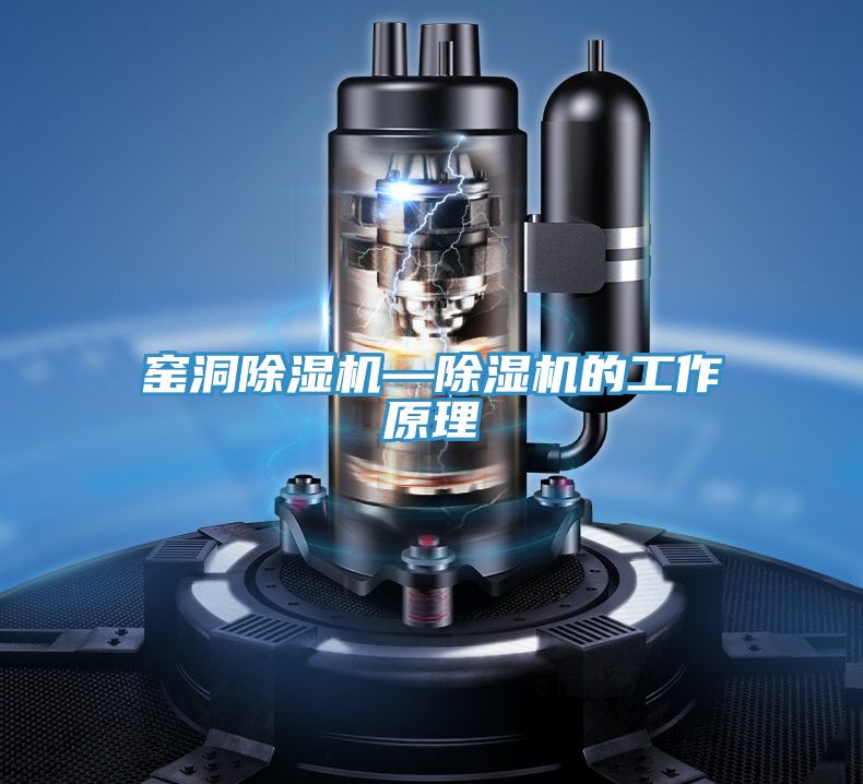 窑洞抖音成人版下载—抖音成人版下载的工作原理