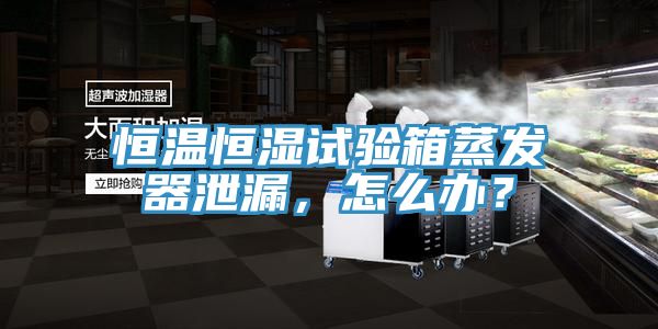 恒温恒湿试验箱蒸发器泄漏，怎么办？