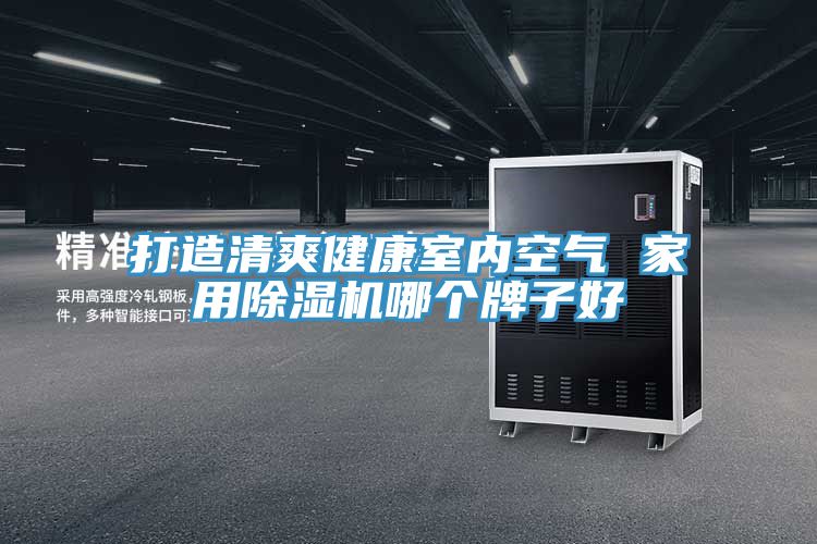 打造清爽健康室内空气 家用抖音成人版下载哪个牌子好